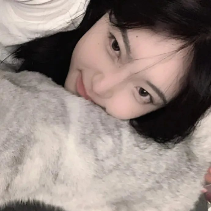 沈先生，别来无恙